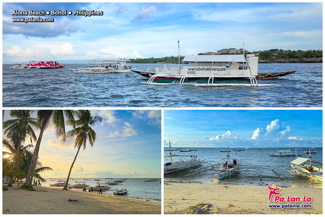 Top 5 Travel Destination in Bohol